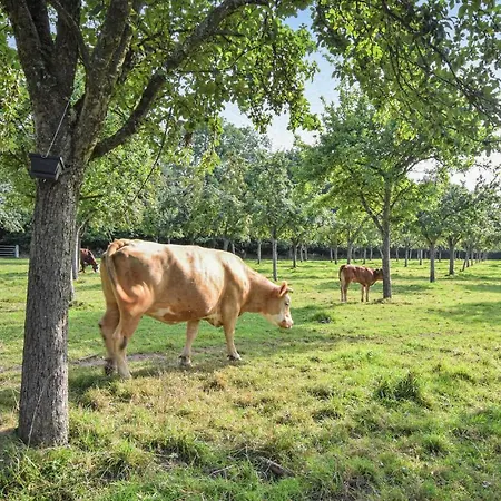 Gorgeous In With Wifi بيت للعطل *