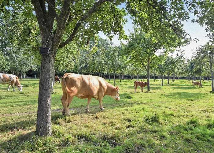 Gorgeous In With Wifi Σπίτι διακοπών *